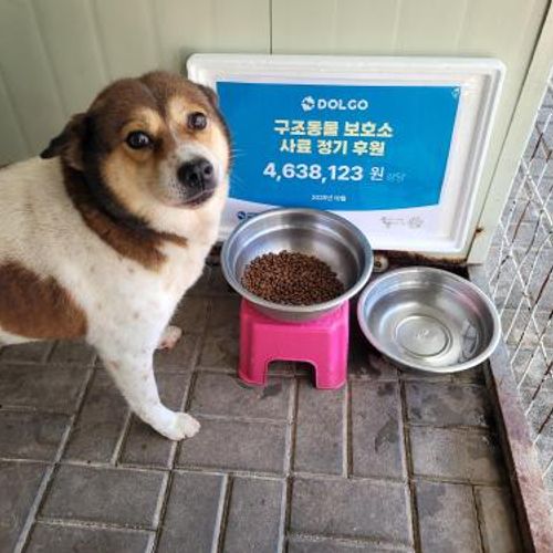 슬라이드 이미지