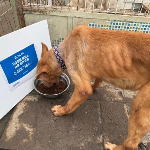 슬라이드 이미지