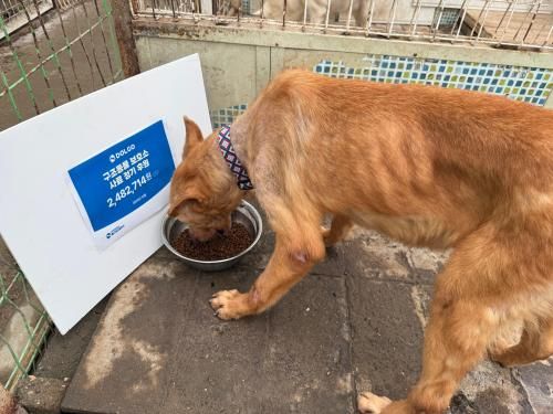 슬라이드 이미지