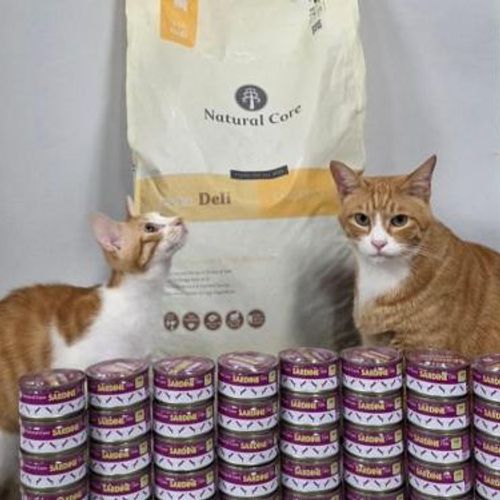 슬라이드 이미지