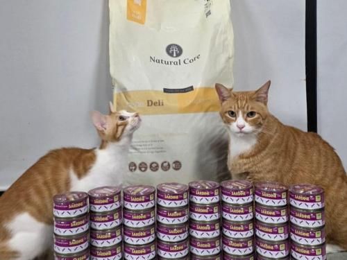 슬라이드 이미지