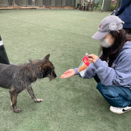 슬라이드 이미지