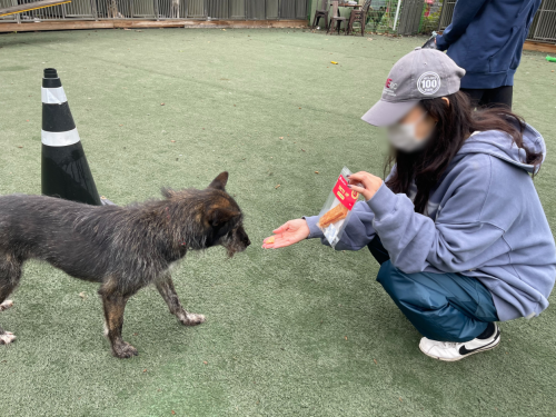 슬라이드 이미지