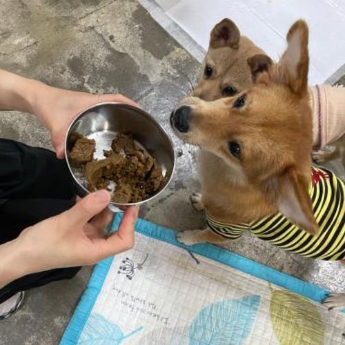 슬라이드 이미지