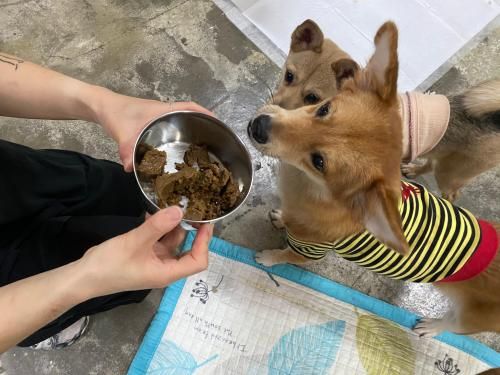 슬라이드 이미지