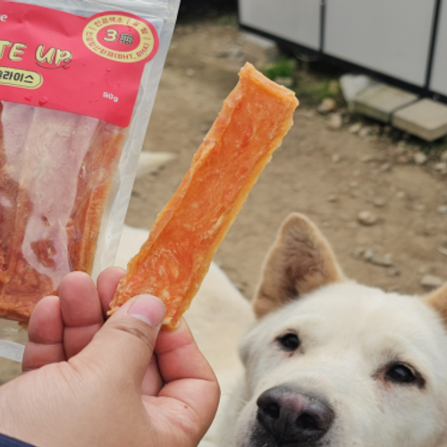 슬라이드 이미지