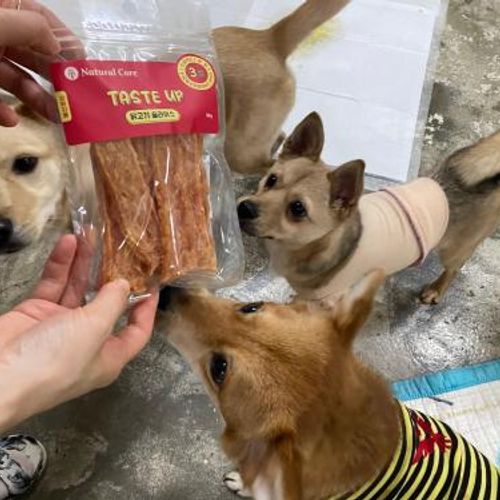 슬라이드 이미지