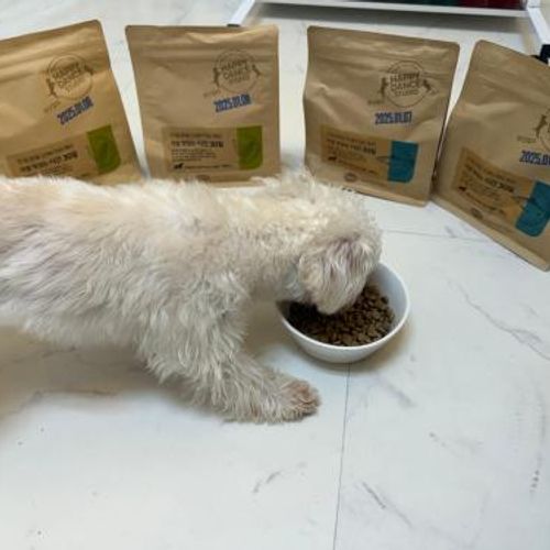 슬라이드 이미지