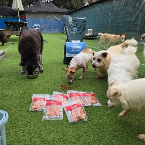 슬라이드 이미지