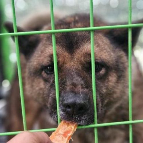 슬라이드 이미지