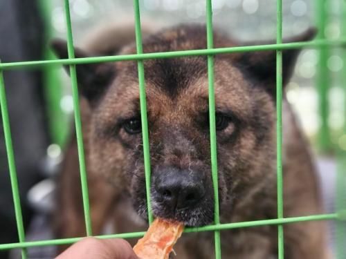 슬라이드 이미지