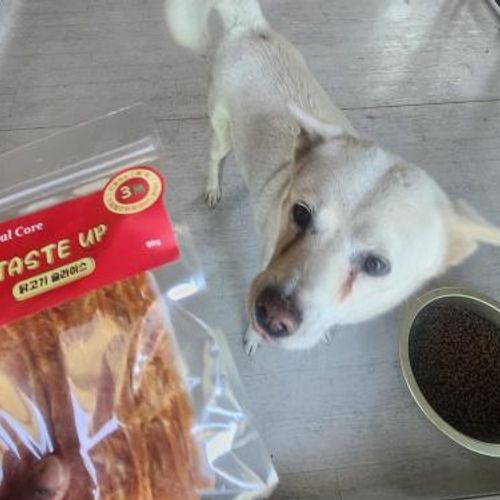 슬라이드 이미지