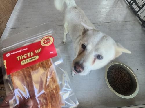 슬라이드 이미지