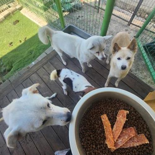 슬라이드 이미지