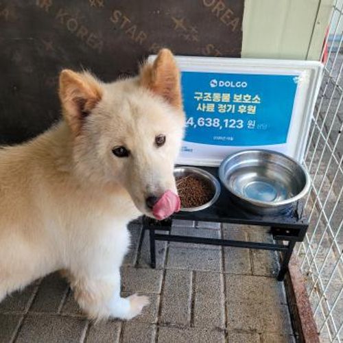 슬라이드 이미지