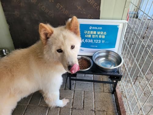 슬라이드 이미지