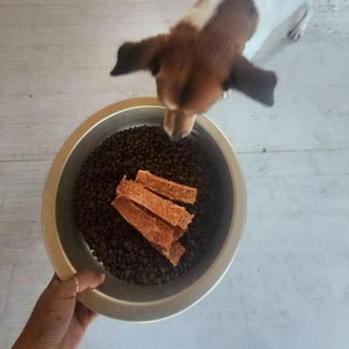 슬라이드 이미지