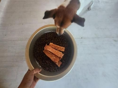 슬라이드 이미지