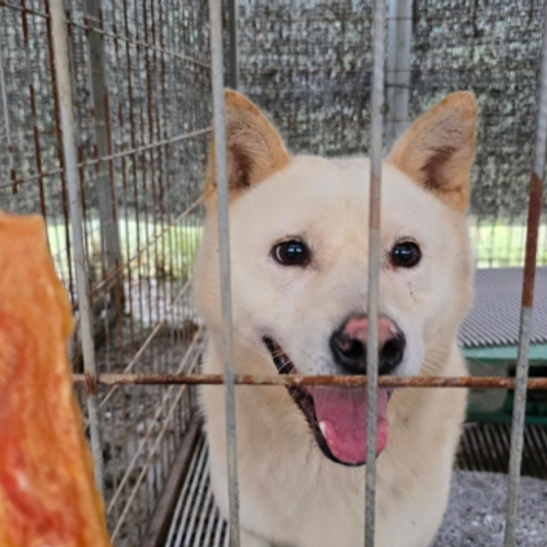 슬라이드 이미지