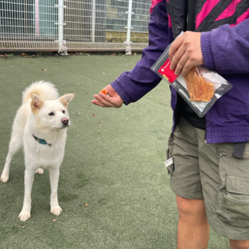 슬라이드 이미지