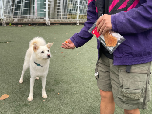 슬라이드 이미지