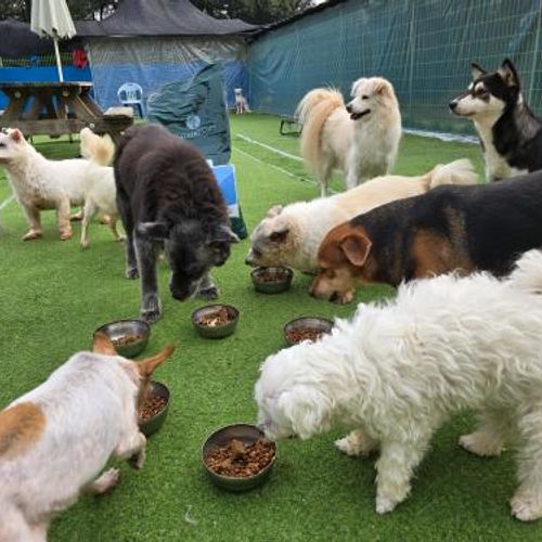 슬라이드 이미지