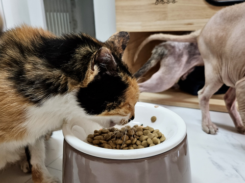 슬라이드 이미지