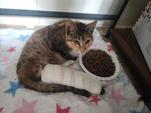 슬라이드 이미지