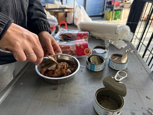 슬라이드 이미지