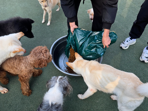 슬라이드 이미지