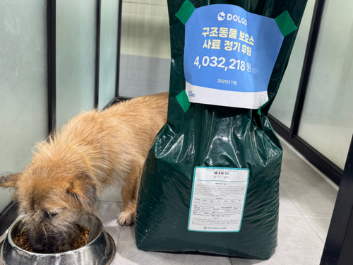 슬라이드 이미지