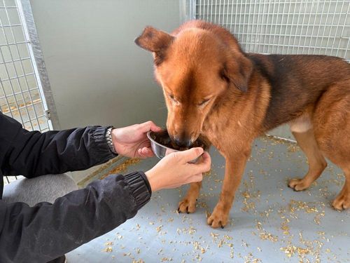 슬라이드 이미지