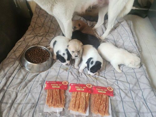 슬라이드 이미지