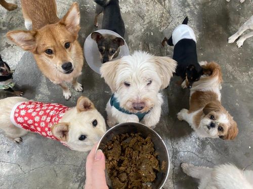 슬라이드 이미지