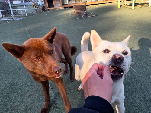 슬라이드 이미지