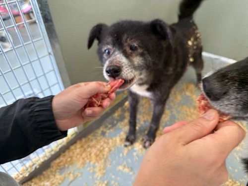 슬라이드 이미지