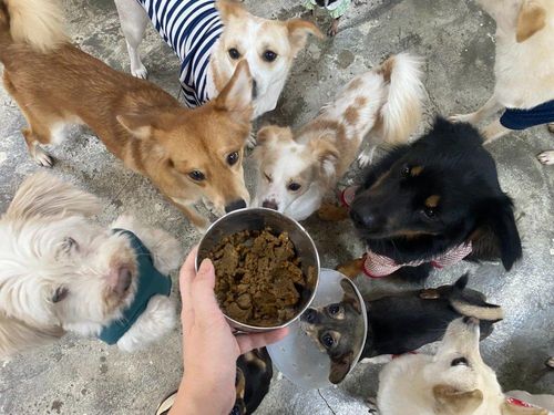 슬라이드 이미지