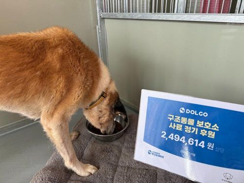 슬라이드 이미지