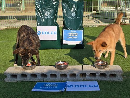 슬라이드 이미지