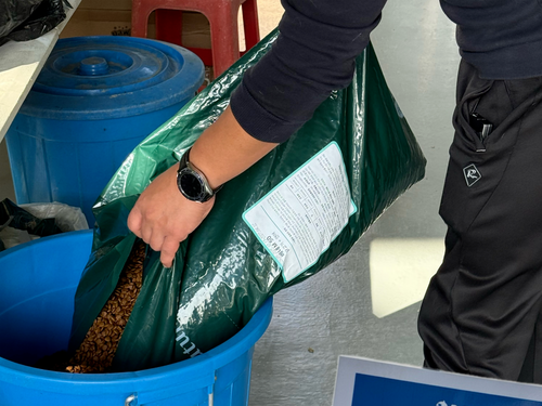 슬라이드 이미지