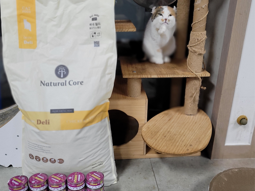 슬라이드 이미지