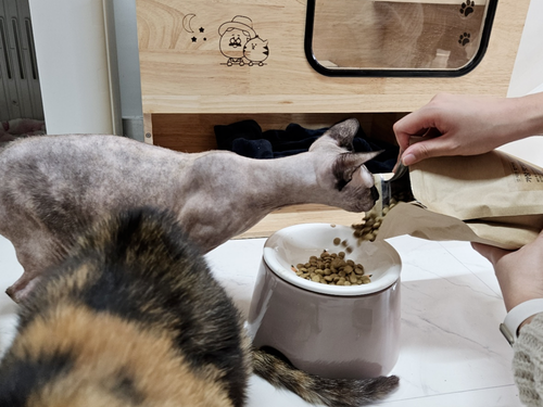 슬라이드 이미지