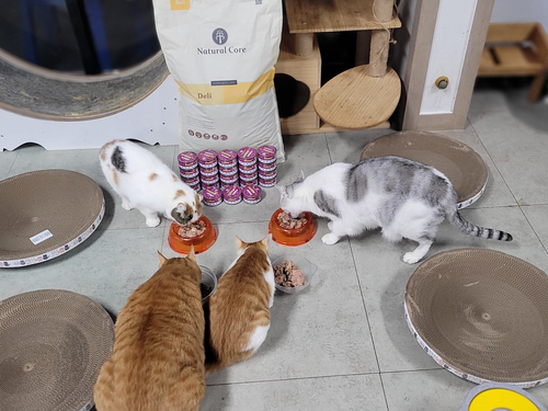 슬라이드 이미지