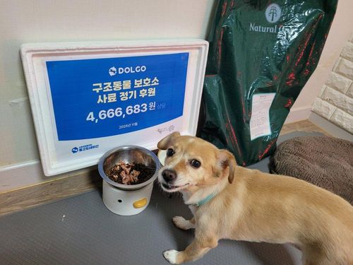 슬라이드 이미지