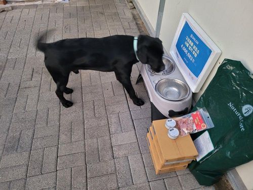 슬라이드 이미지