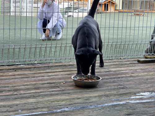 슬라이드 이미지