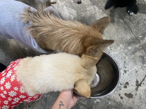 슬라이드 이미지