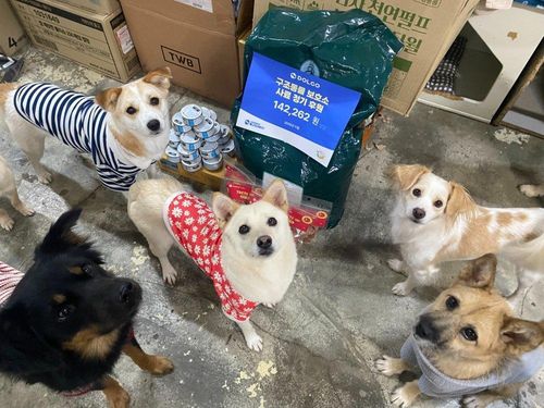 슬라이드 이미지