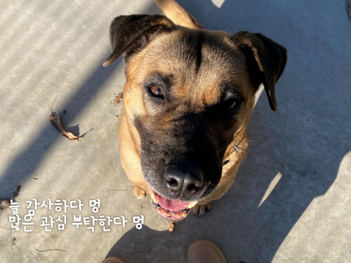 슬라이드 이미지