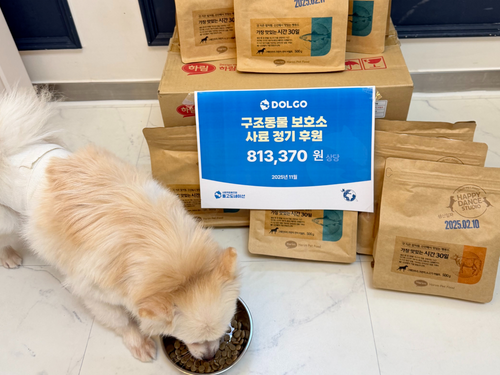 슬라이드 이미지